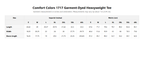 Palm Smoke II Heavyweight Tee size guide, garment measurements in inches