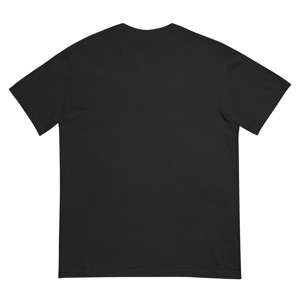 Golden Hour Feature heavyweight tee in Black, back, no print