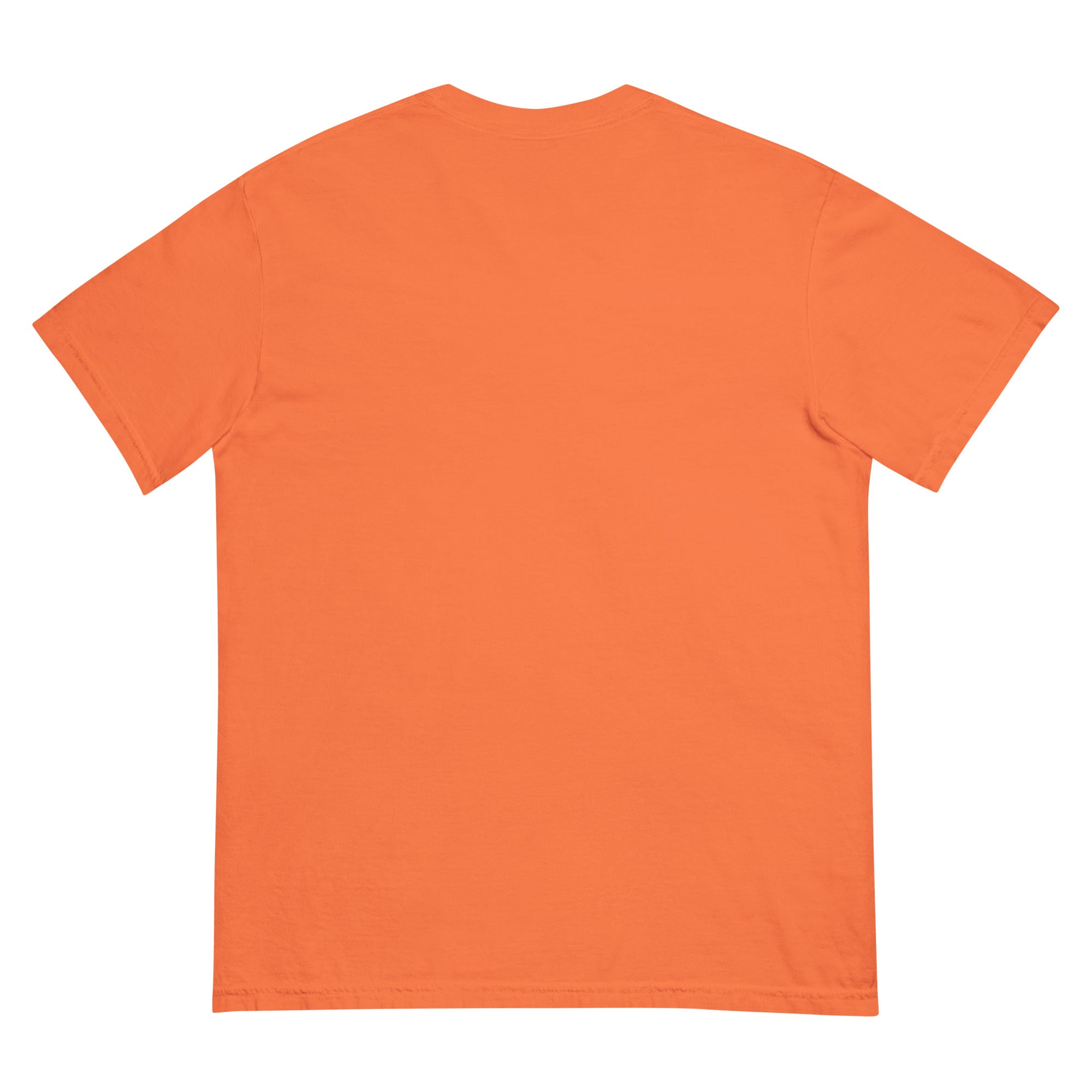 Golden Hour Feature heavyweight tee in Burnt Orange, back, no print
