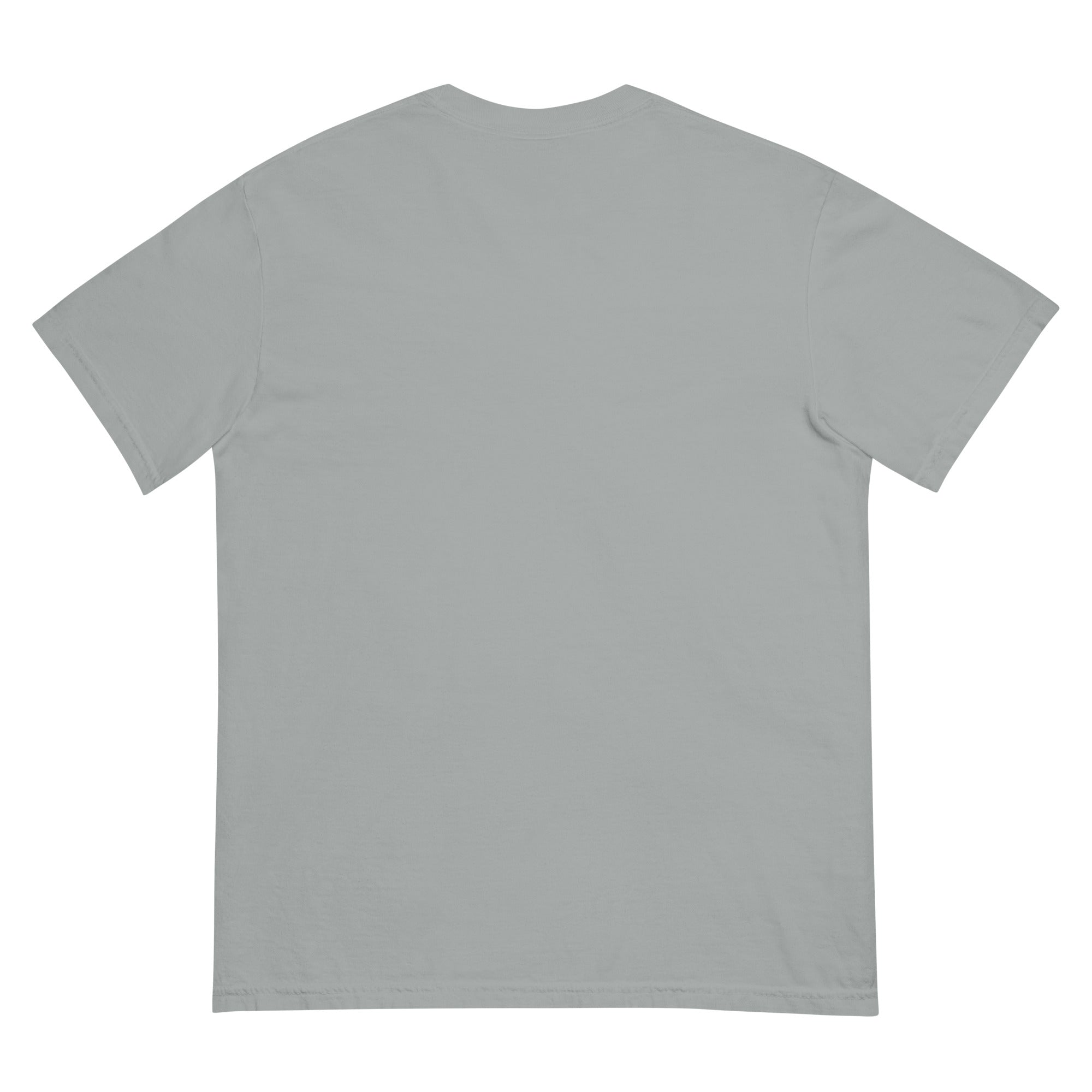 Golden Hour Feature heavyweight tee in Granite, back, no print