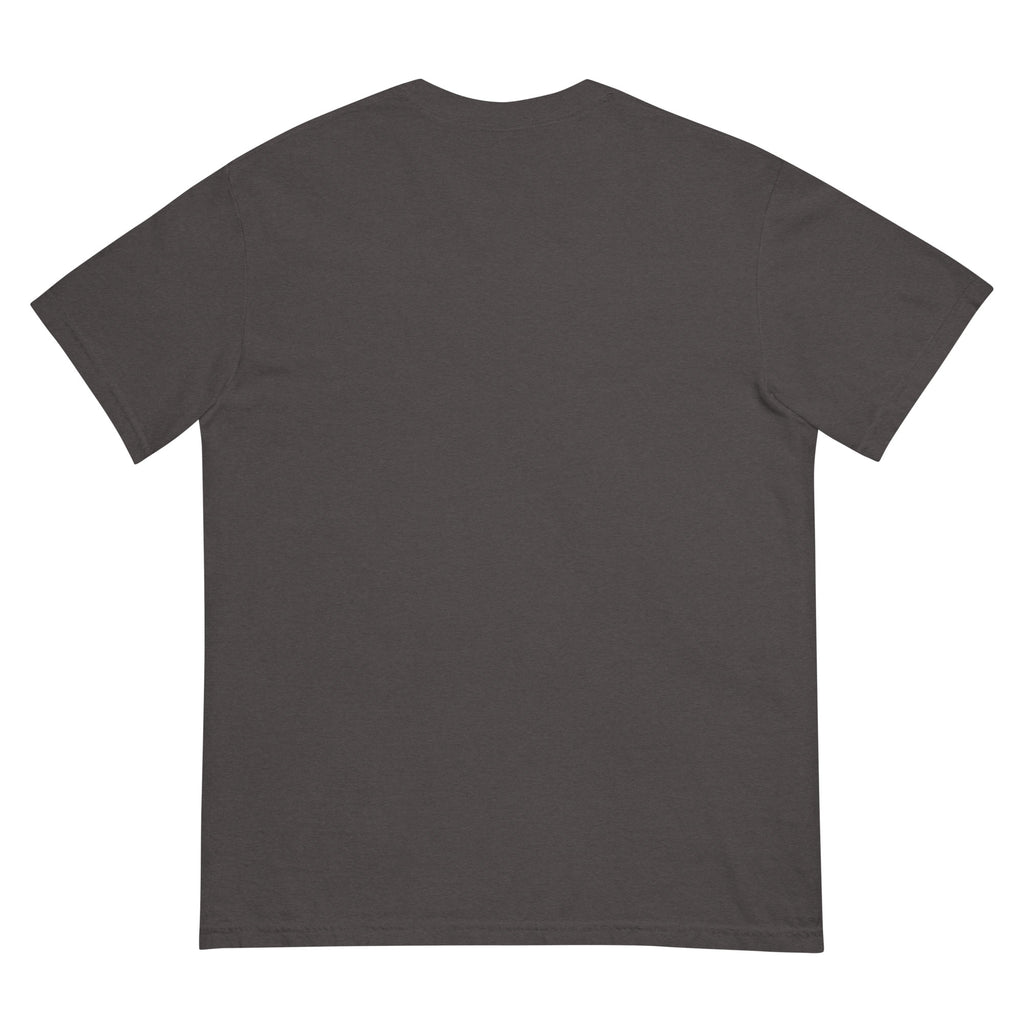 Golden Hour Feature heavyweight tee in Graphite, back, no print