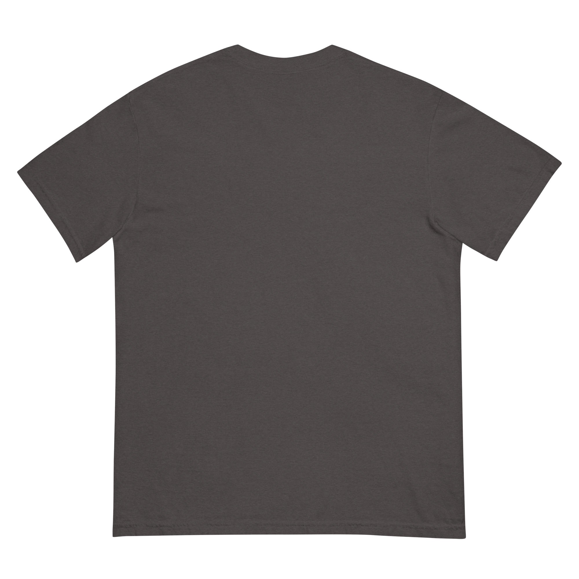 Golden Hour Feature heavyweight tee in Graphite, back, no print