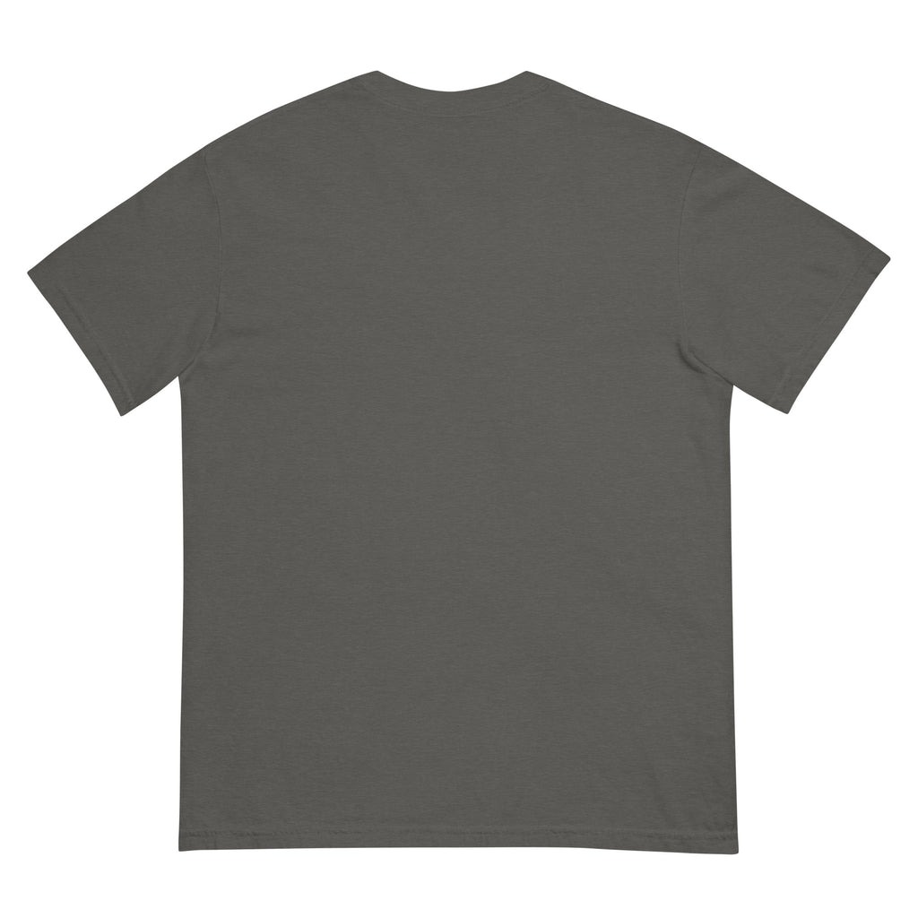 Golden Hour Feature heavyweight tee in Pepper, back, no print
