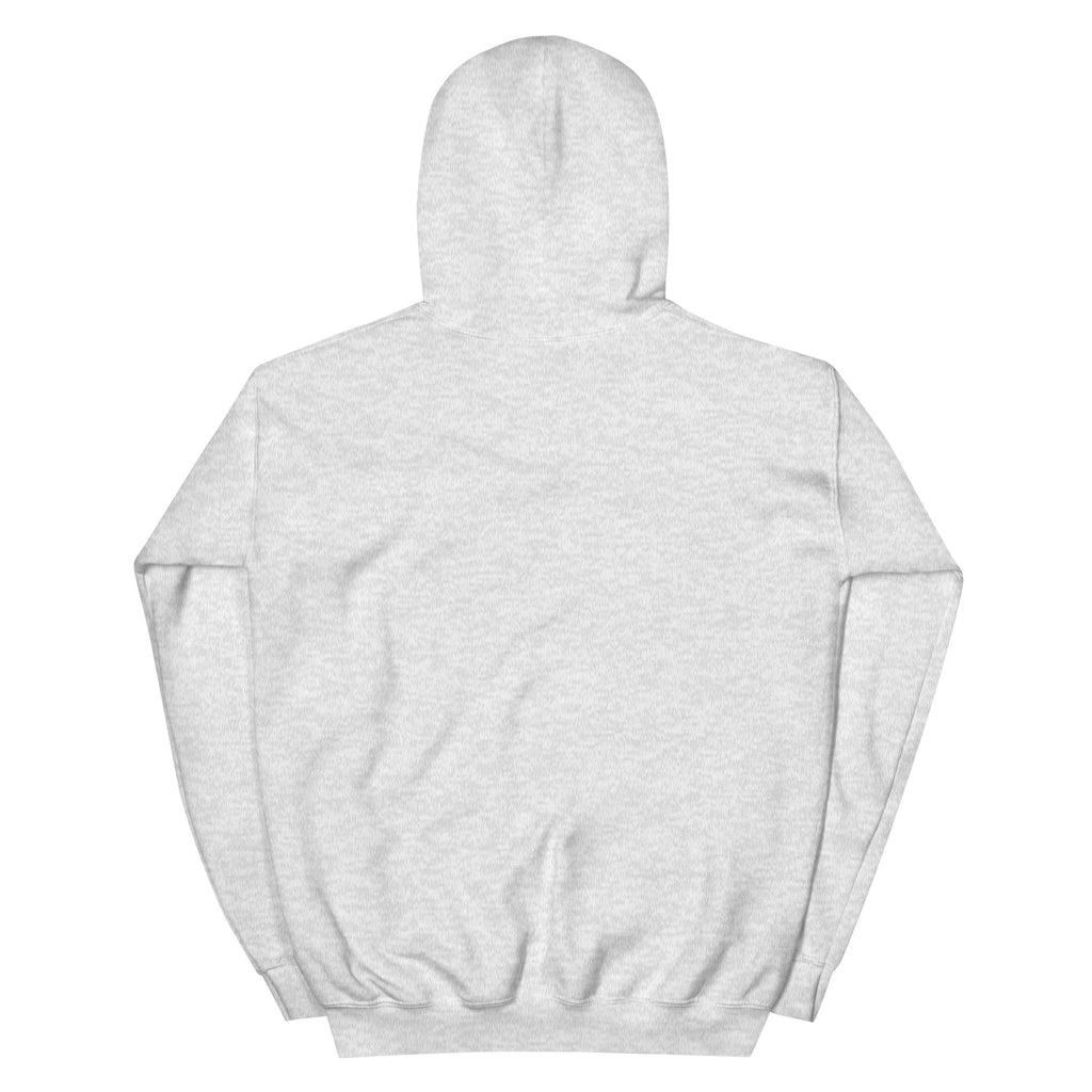 Golden Hour Feature hoodie in Ash, back, no print
