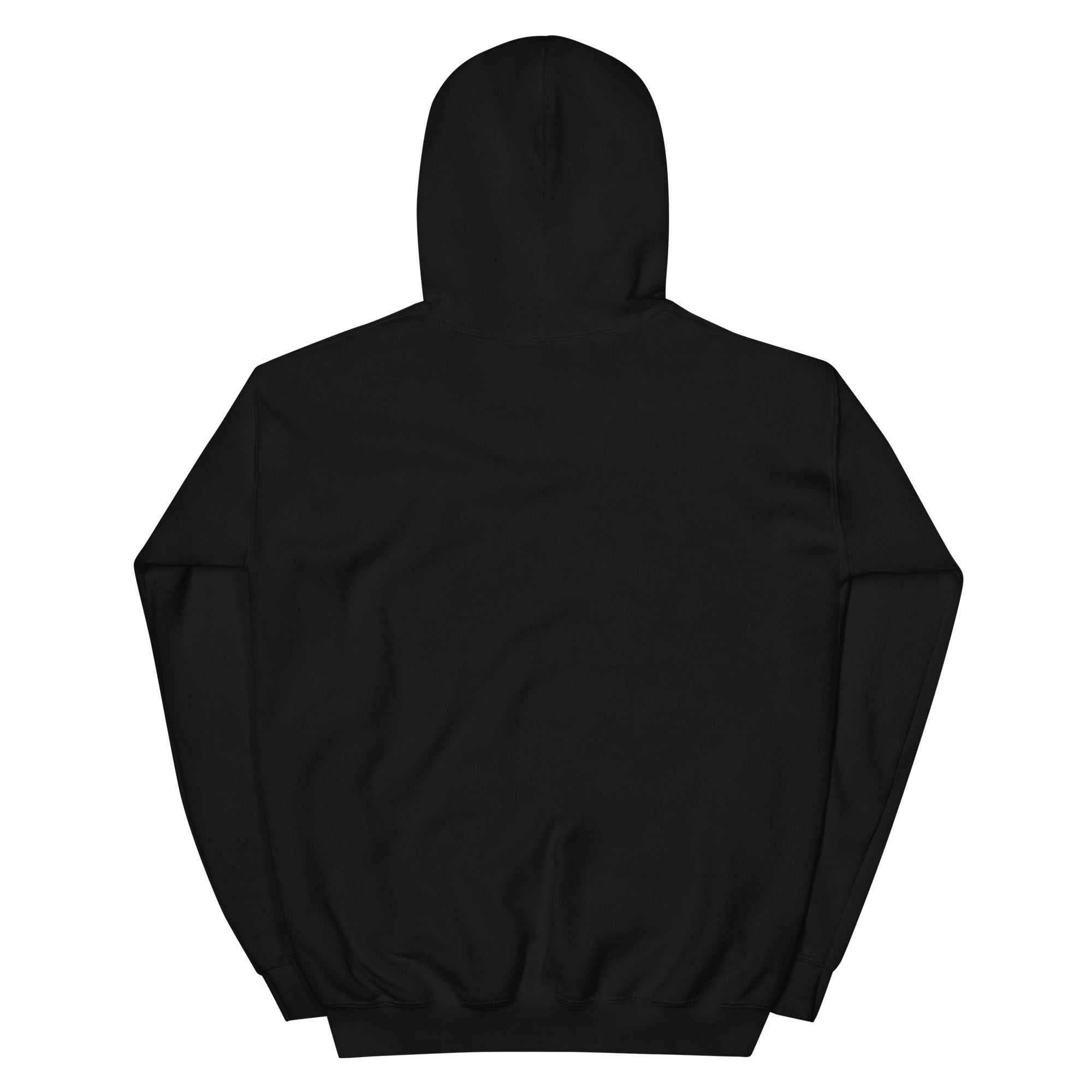Golden Hour Feature hoodie in Black, back, no print