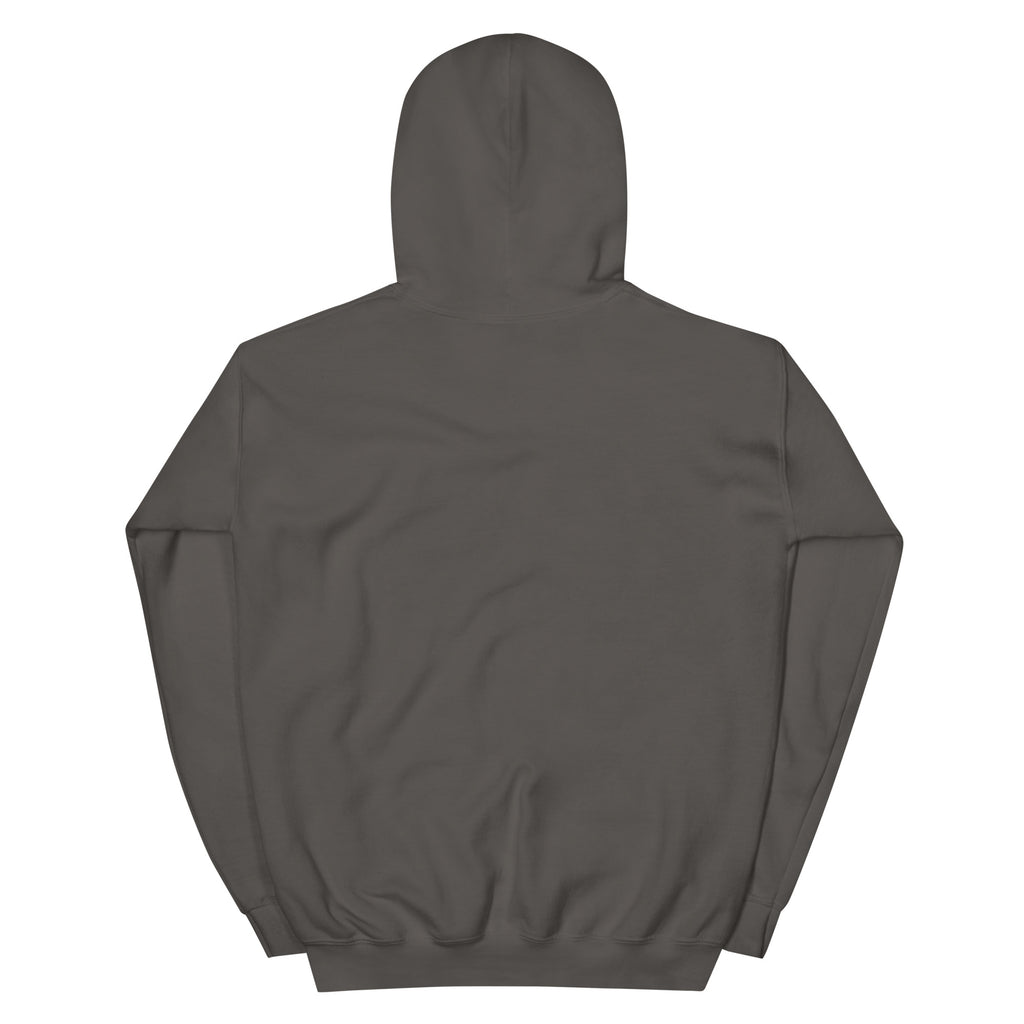 Golden Hour Feature hoodie in Charcoal, back, no print