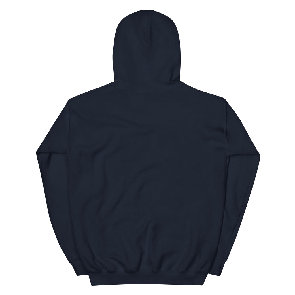 Golden Hour Feature hoodie in Navy, back, no print