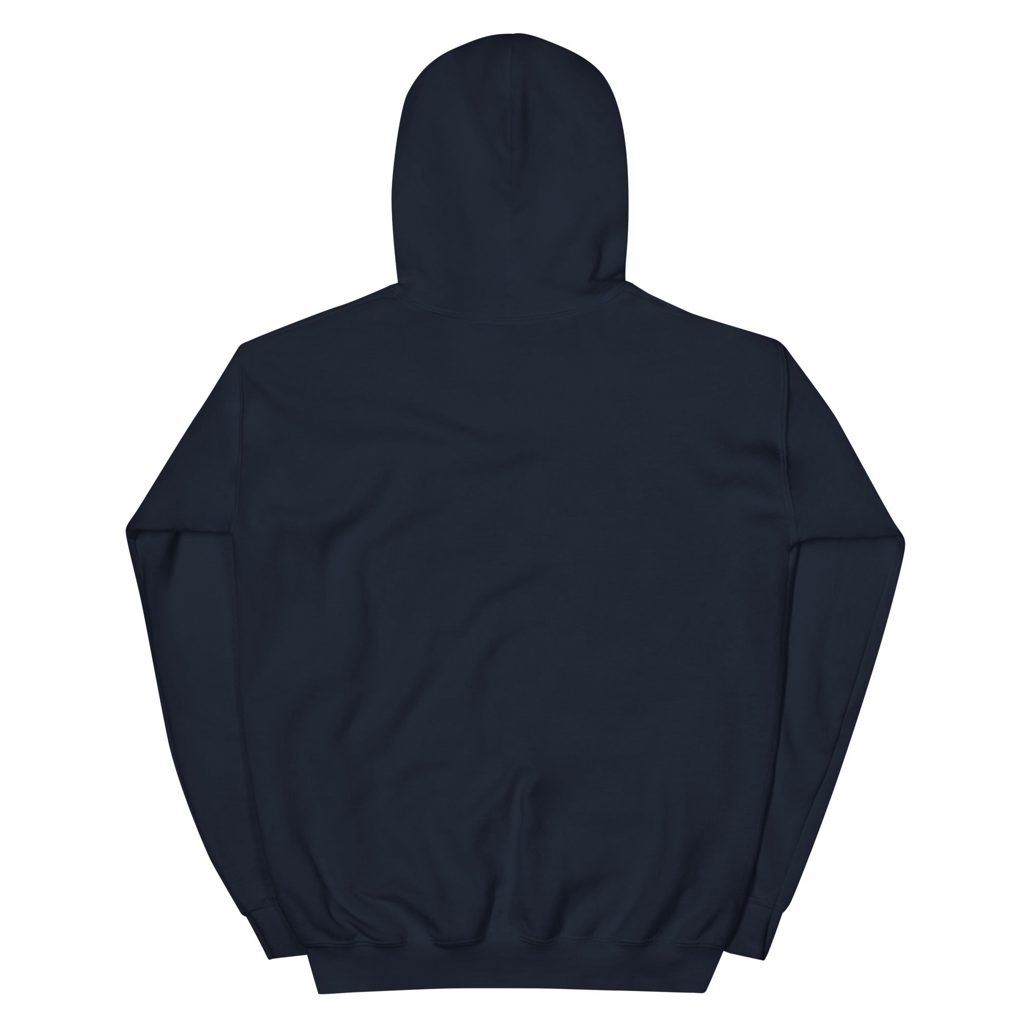 Golden Hour Feature hoodie in Navy, back, no print