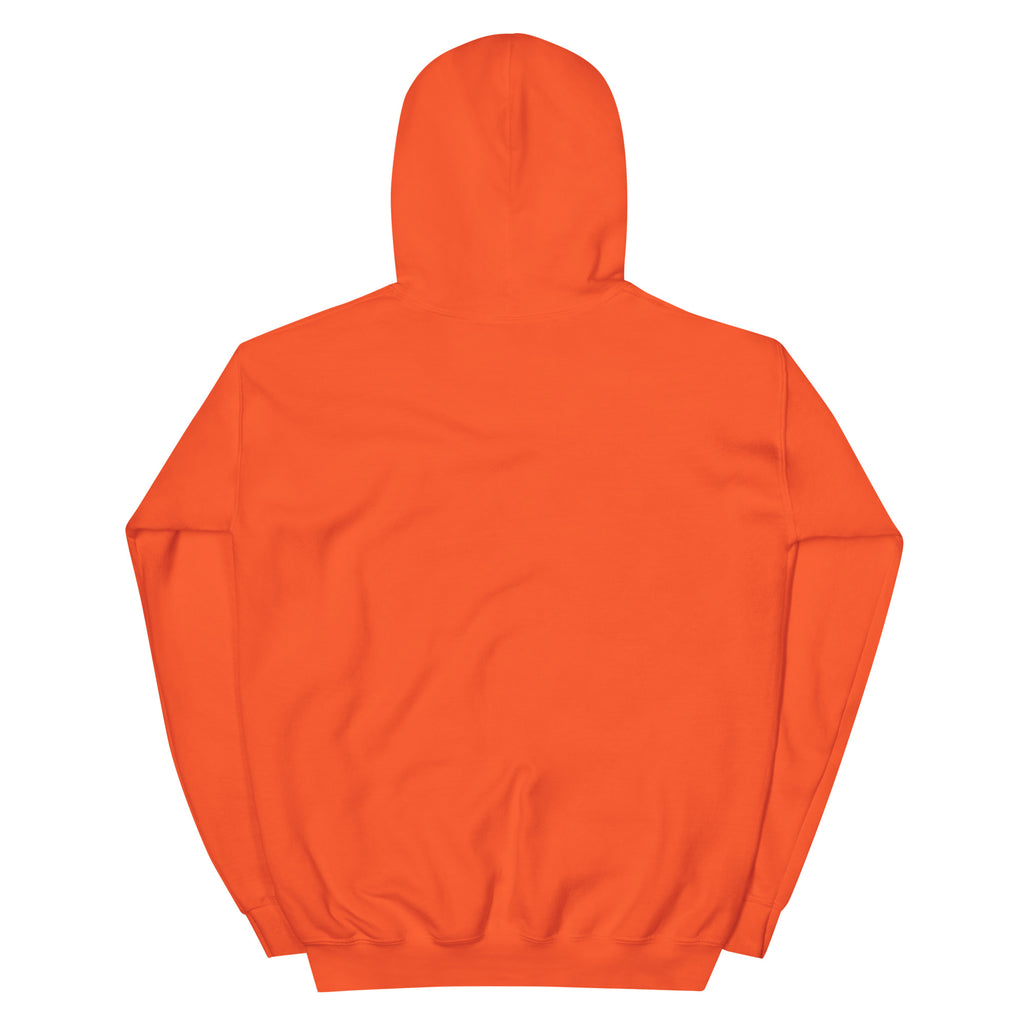 Golden Hour Feature hoodie in Orange, back, no print
